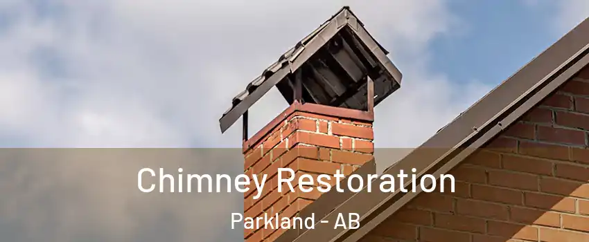  Chimney Restoration Parkland - AB