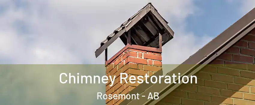  Chimney Restoration Rosemont - AB