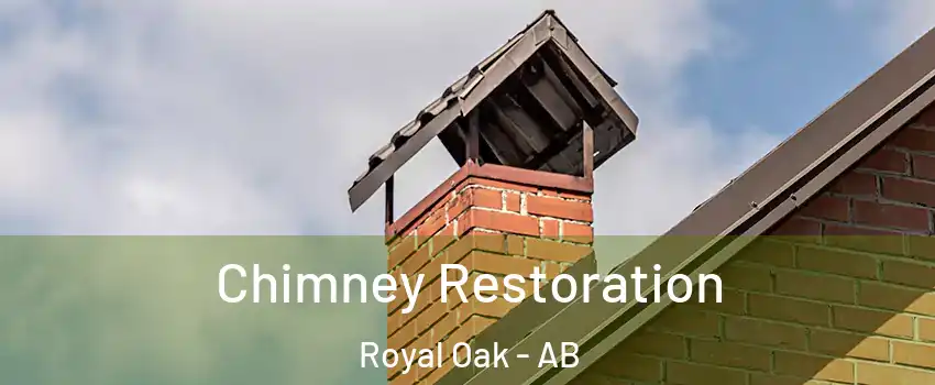  Chimney Restoration Royal Oak - AB