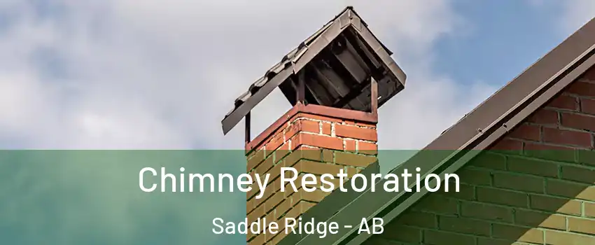  Chimney Restoration Saddle Ridge - AB