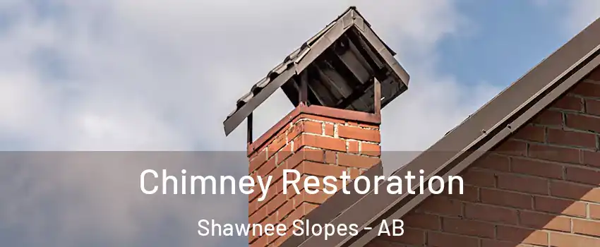  Chimney Restoration Shawnee Slopes - AB