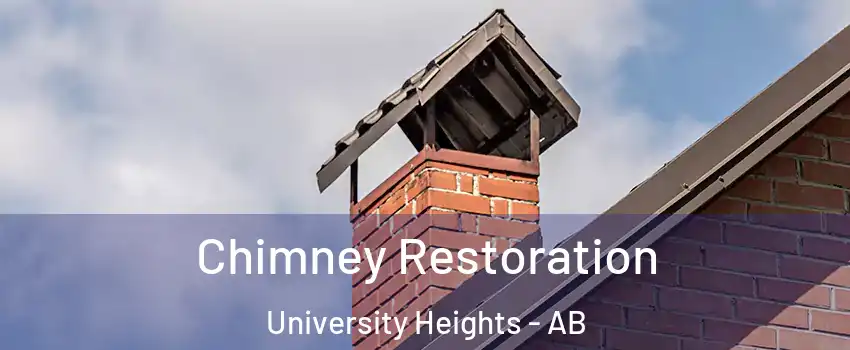  Chimney Restoration University Heights - AB