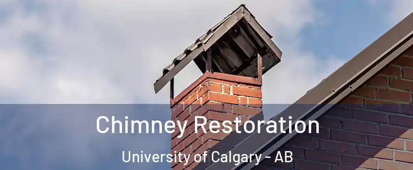  Chimney Restoration University of Calgary - AB