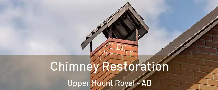  Chimney Restoration Upper Mount Royal - AB