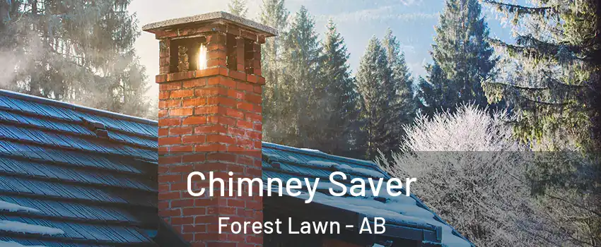  Chimney Saver Forest Lawn - AB