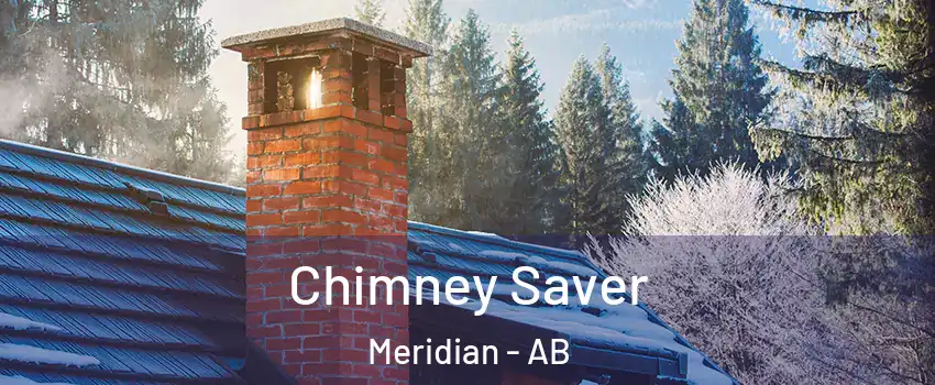  Chimney Saver Meridian - AB