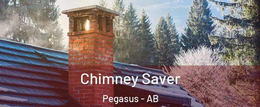  Chimney Saver Pegasus - AB