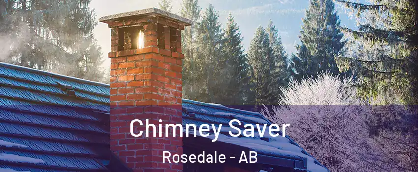  Chimney Saver Rosedale - AB