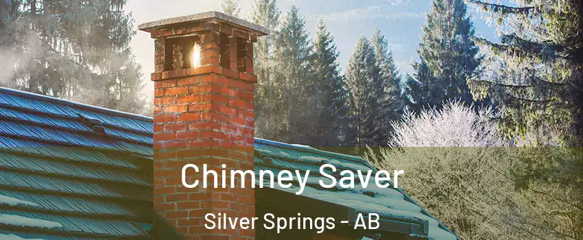  Chimney Saver Silver Springs - AB