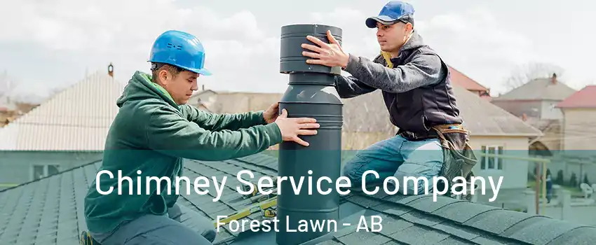  Chimney Service Company Forest Lawn - AB