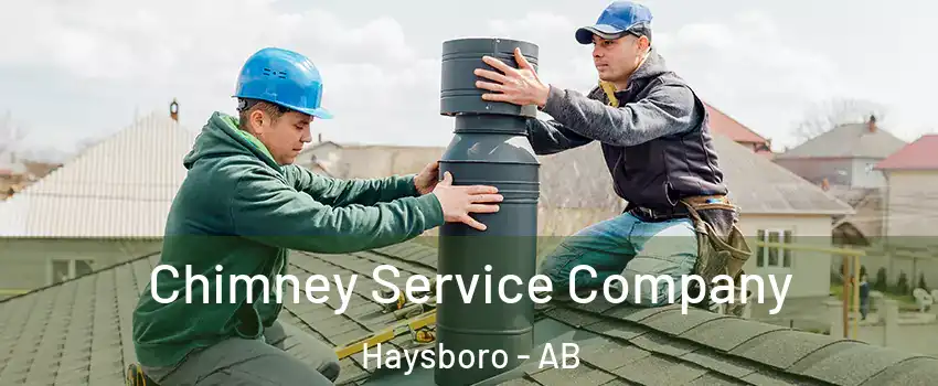  Chimney Service Company Haysboro - AB