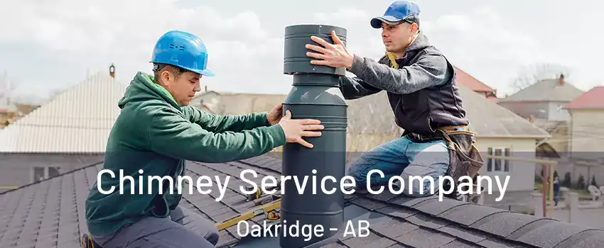  Chimney Service Company Oakridge - AB