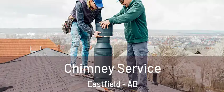  Chimney Service Eastfield - AB
