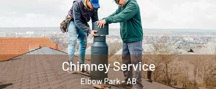  Chimney Service Elbow Park - AB