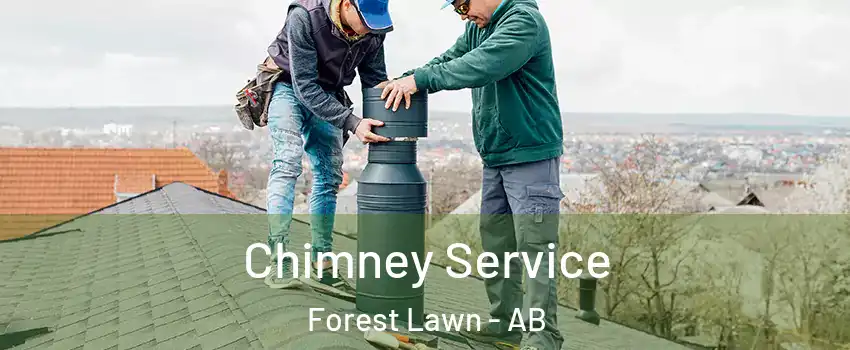  Chimney Service Forest Lawn - AB