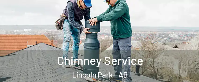  Chimney Service Lincoln Park - AB