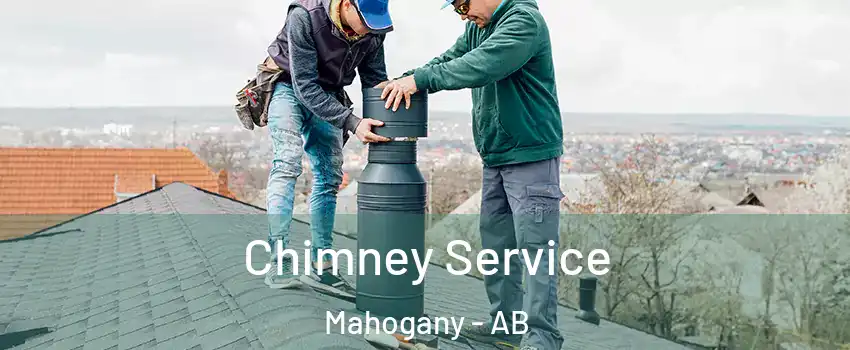  Chimney Service Mahogany - AB