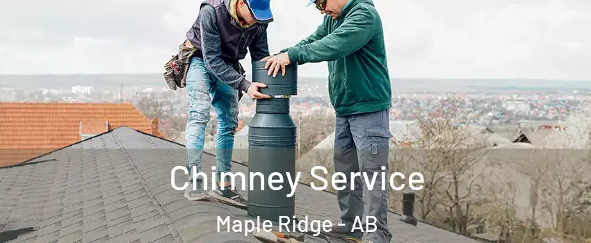  Chimney Service Maple Ridge - AB