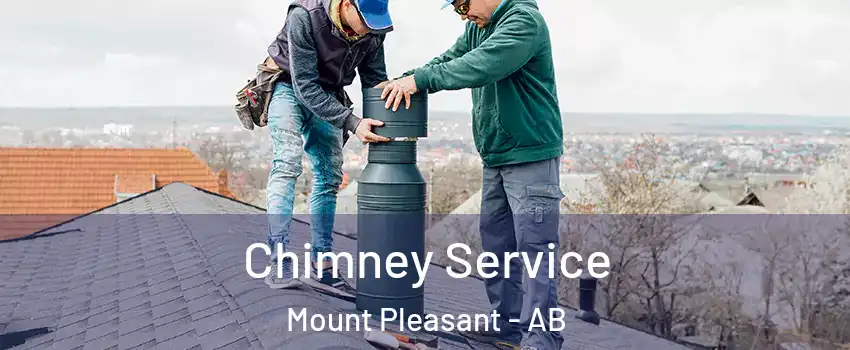  Chimney Service Mount Pleasant - AB