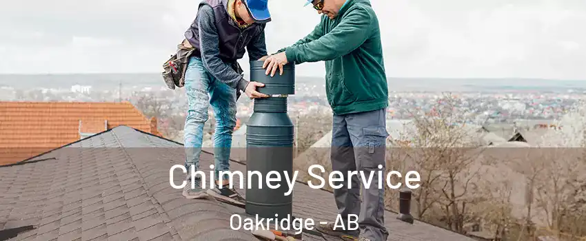 Chimney Service Oakridge - AB