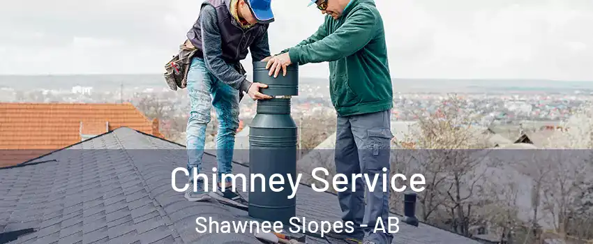  Chimney Service Shawnee Slopes - AB