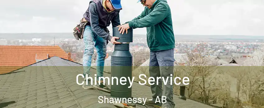  Chimney Service Shawnessy - AB