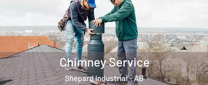 Chimney Service Shepard Industrial - AB