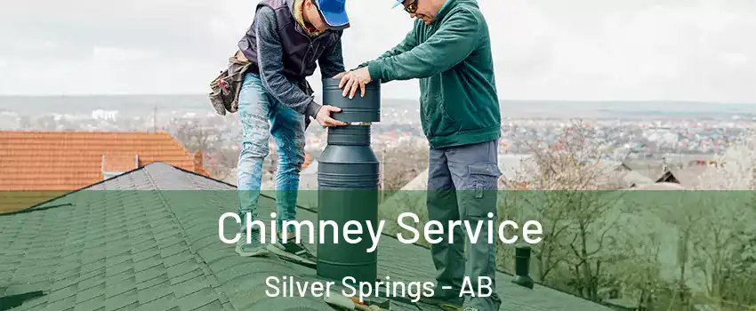  Chimney Service Silver Springs - AB