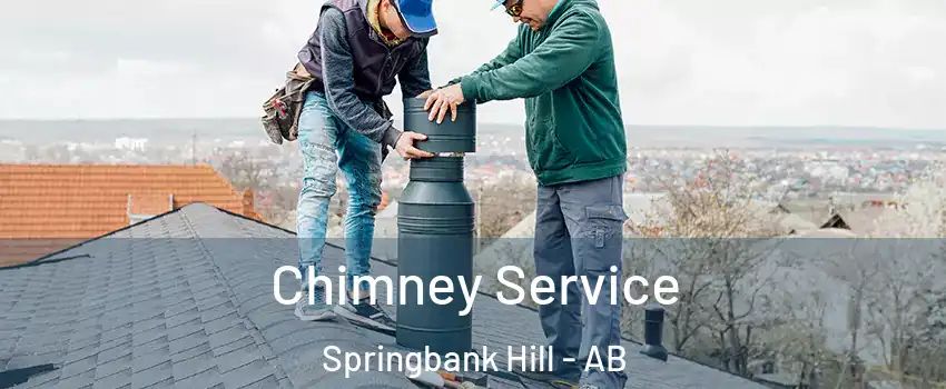  Chimney Service Springbank Hill - AB