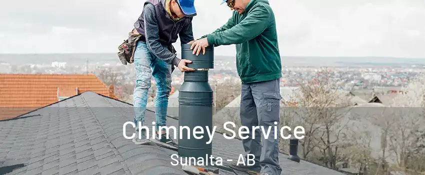 Chimney Service Sunalta - AB