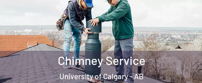  Chimney Service University of Calgary - AB
