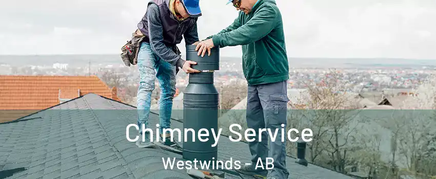  Chimney Service Westwinds - AB