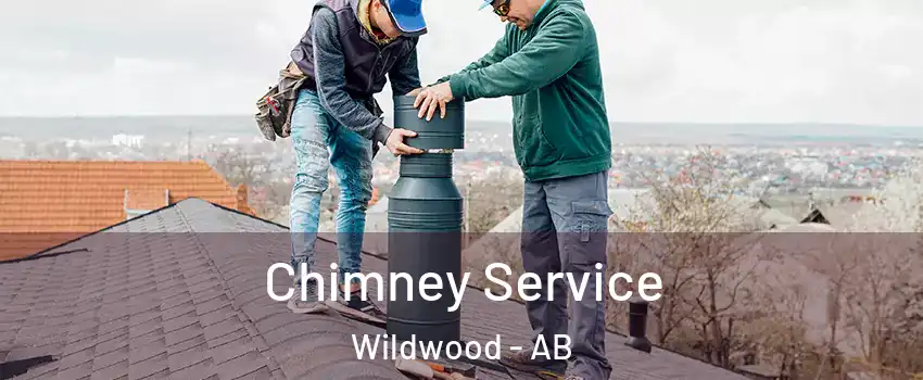  Chimney Service Wildwood - AB