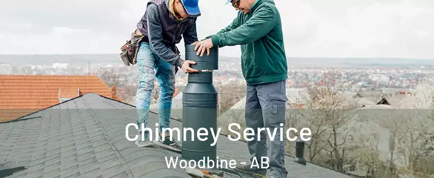  Chimney Service Woodbine - AB