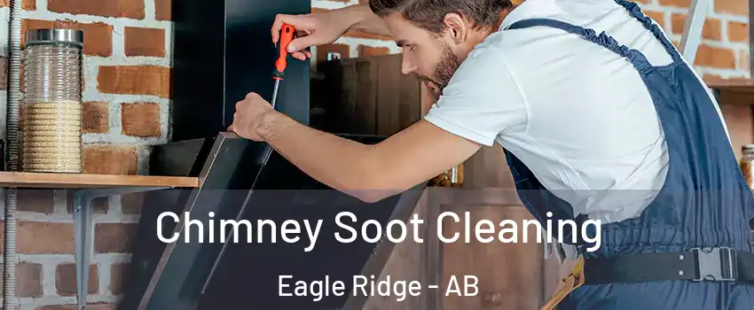  Chimney Soot Cleaning Eagle Ridge - AB