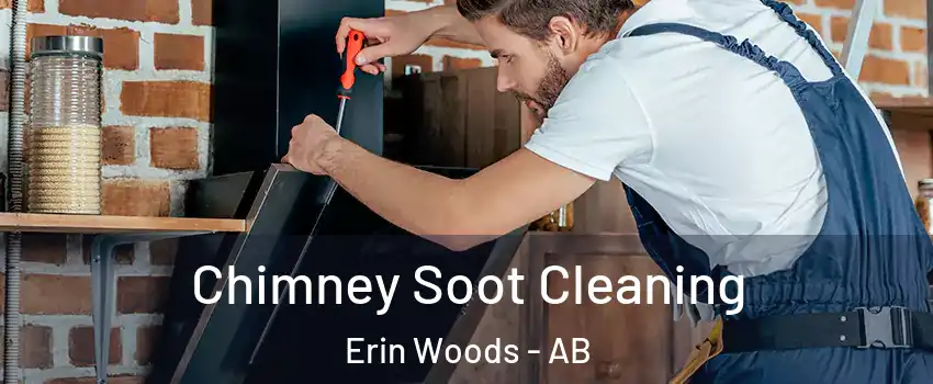  Chimney Soot Cleaning Erin Woods - AB