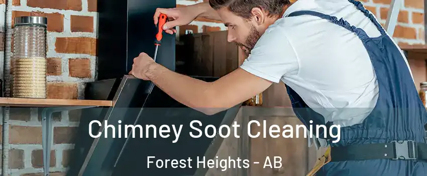  Chimney Soot Cleaning Forest Heights - AB