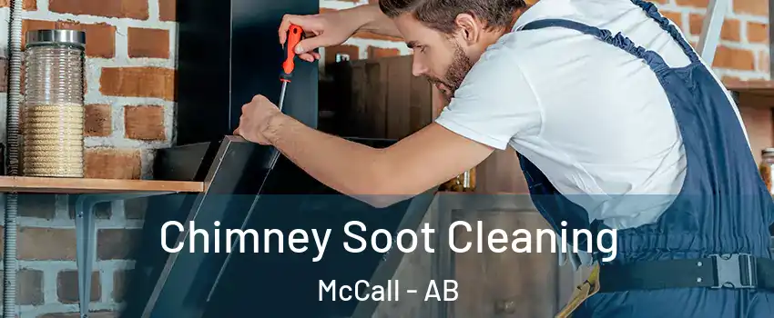  Chimney Soot Cleaning McCall - AB