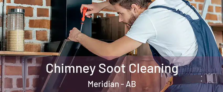  Chimney Soot Cleaning Meridian - AB