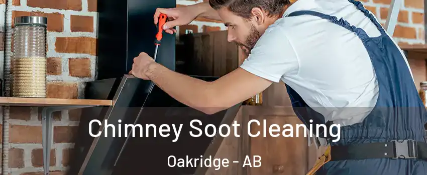  Chimney Soot Cleaning Oakridge - AB