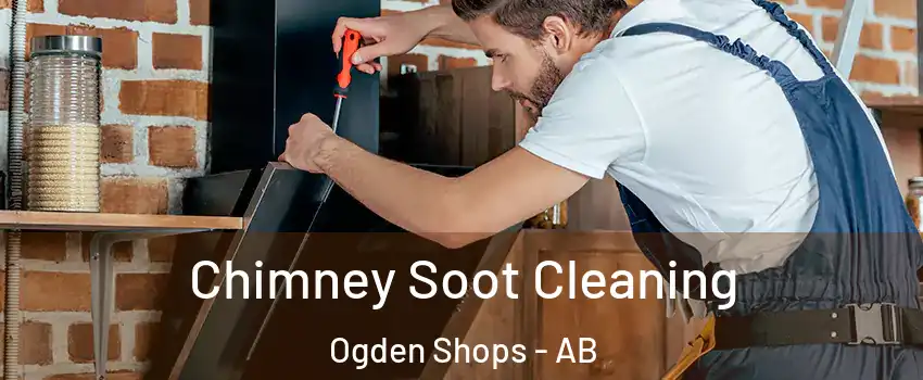  Chimney Soot Cleaning Ogden Shops - AB