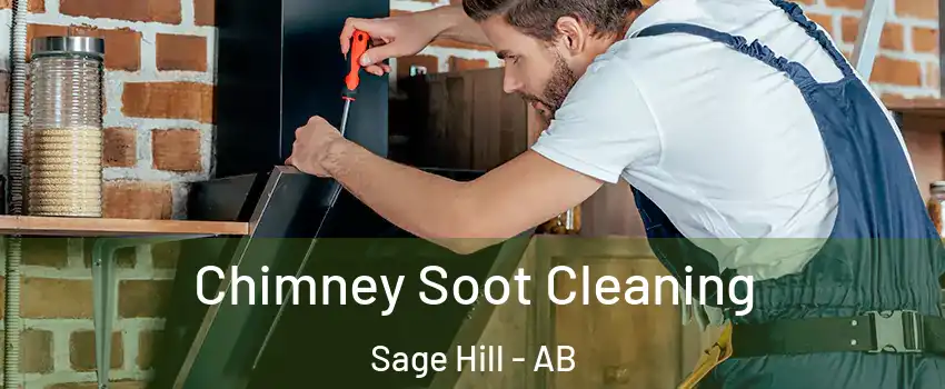  Chimney Soot Cleaning Sage Hill - AB