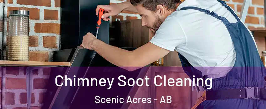  Chimney Soot Cleaning Scenic Acres - AB