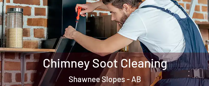  Chimney Soot Cleaning Shawnee Slopes - AB