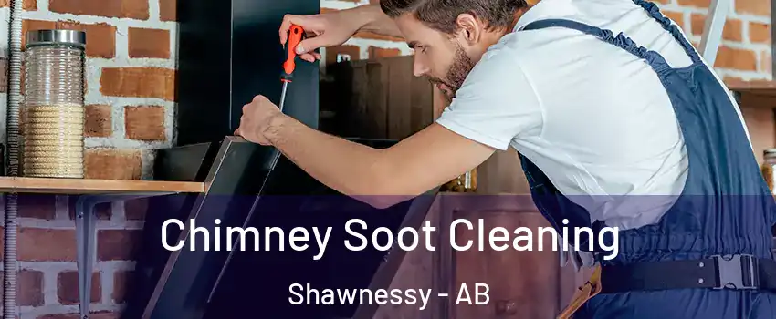  Chimney Soot Cleaning Shawnessy - AB