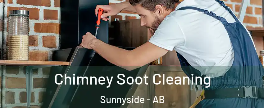  Chimney Soot Cleaning Sunnyside - AB