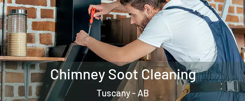  Chimney Soot Cleaning Tuscany - AB