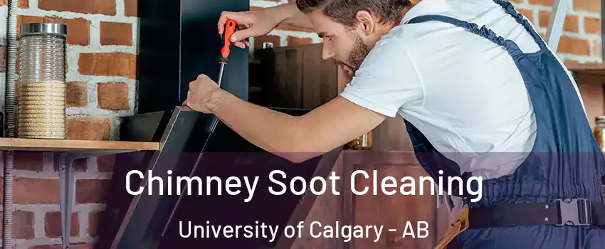  Chimney Soot Cleaning University of Calgary - AB