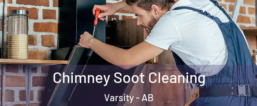  Chimney Soot Cleaning Varsity - AB