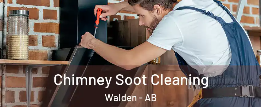  Chimney Soot Cleaning Walden - AB